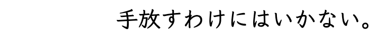 手放すわけにはいかない。